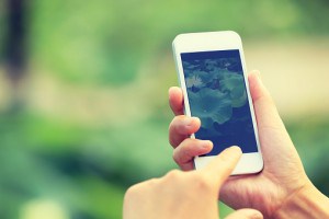 Conversation Agents Cannot Replace Trusted Legal Advice